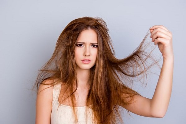 difference between dry and dehydrated hair